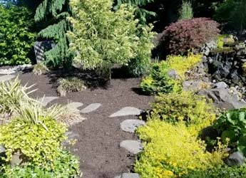 Landscaping Softscapes