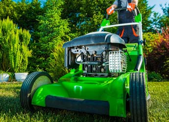 Yard and Lawn Maintenance