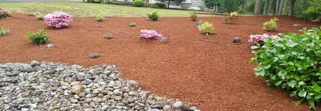 Landscaping Softscapes